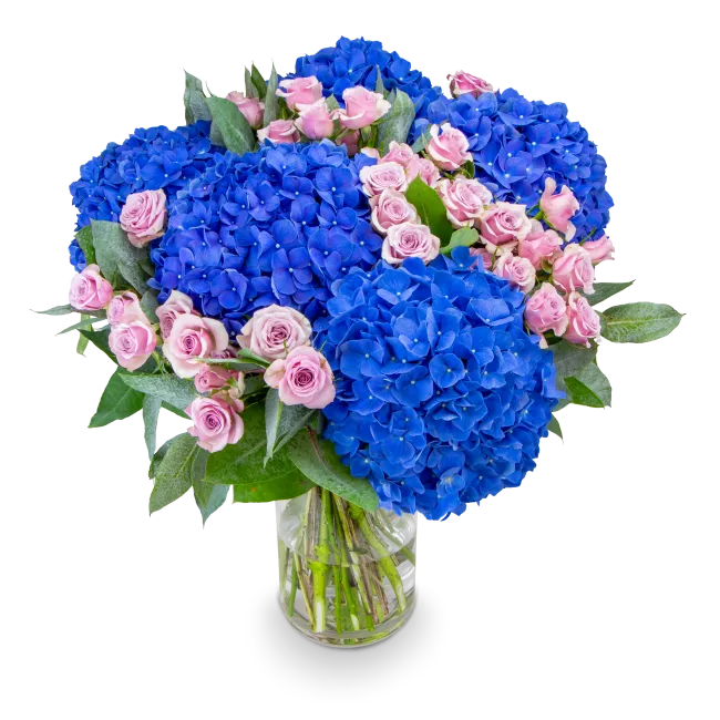 Bouquet of hydrangeas and spray roses